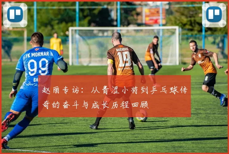 赵丽专访：从青涩小将到乒乓球传奇的奋斗与成长历程回顾